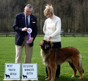 Reserve Winner's Bitch and Best Youth Bitch, March 14, 2010