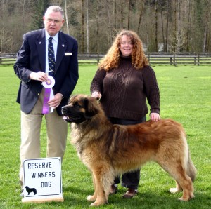 Reserve Winner's Dog, March 14, 2010
