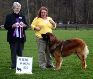 Reserve Winner's Dog, March 13, 2010
